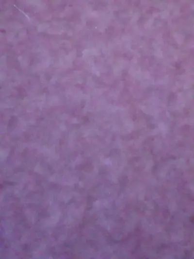 250113