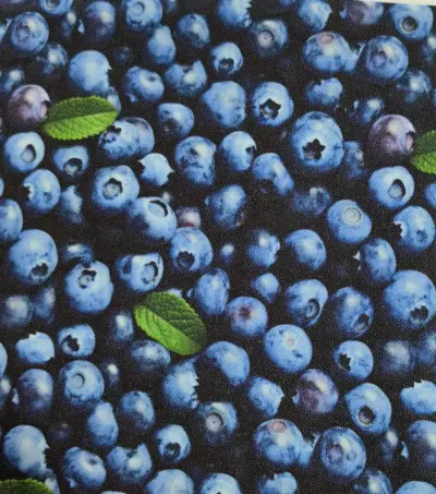 4513